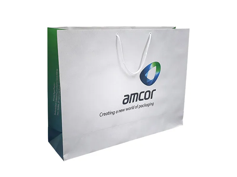 Foto de Sacolas de Papel Ecológico 1